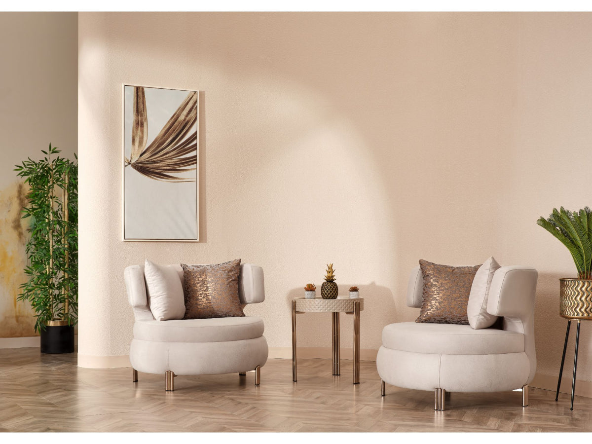 Paris Stationary Livingroom (2 Sofa & 2 Chair)
